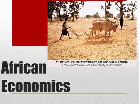African Economics. South Africa Africa’ largest economy Most productive farms Largest diamond exporter The only African country that is highly developed.