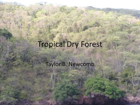 Tropical Dry Forest Taylor B. Newcomb. Location Parts of Africa, South and Central America, Mexico, India, Australia, and tropical islands.