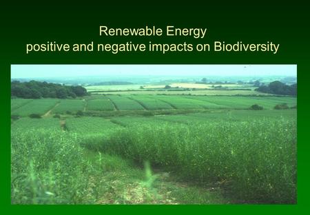 Renewable Energy positive and negative impacts on Biodiversity.