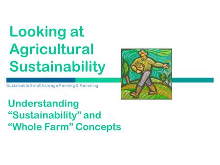 Looking at Agricultural Sustainability