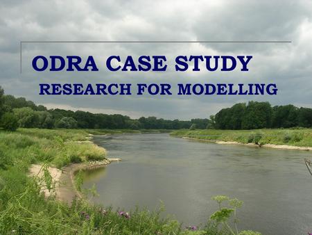 ODRA CASE STUDY RESEARCH FOR MODELLING. Narrative storylines Structured description of agents based on interviews’ transcripts. What does it look like???