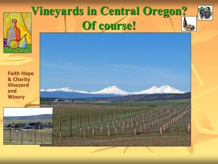 Vineyards in Central Oregon? Of course! Faith Hope & Charity Vineyard and Winery.