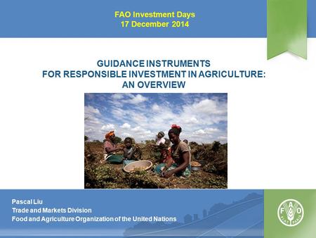 GUIDANCE INSTRUMENTS FOR RESPONSIBLE INVESTMENT IN AGRICULTURE: AN OVERVIEW Pascal Liu Trade and Markets Division Food and Agriculture Organization of.