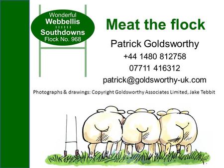 Patrick Goldsworthy +44 1480 812758 07711 416312 Meat the flock Photographs & drawings: Copyright Goldsworthy Associates Limited,