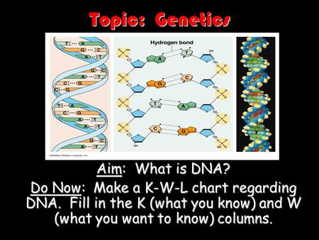 Topic: Genetics Aim: What is DNA?