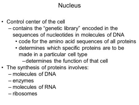Nucleus Control center of the cell –contains the “genetic library” encoded in the sequences of nucleotides in molecules of DNA code for the amino acid.