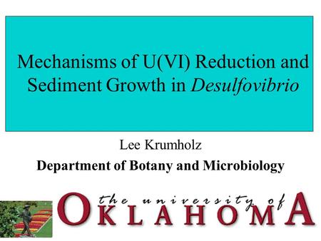Mechanisms of U(VI) Reduction and Sediment Growth in Desulfovibrio Lee Krumholz Department of Botany and Microbiology.