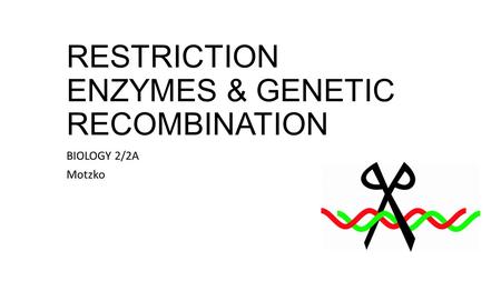 RESTRICTION ENZYMES & GENETIC RECOMBINATION BIOLOGY 2/2A Motzko.