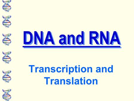 DNA and RNA Transcription and Translation What do all of these organisms have in common? They all share a universal genetic code.