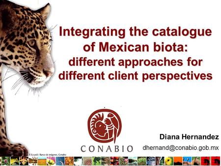 Diana Hernandez Integrating the catalogue of Mexican biota: different approaches for different client perspectives.