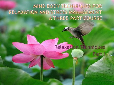 Relaxation Techniques Part I.  What is the mind-body connection?  What is stress?  Why is the mind-body connection important to our health?  What.