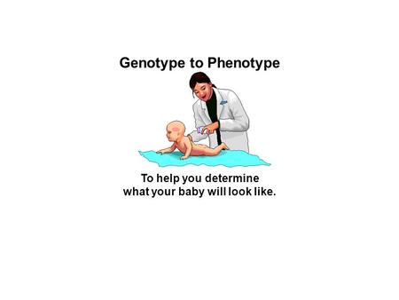 Genotype to Phenotype To help you determine what your baby will look like.