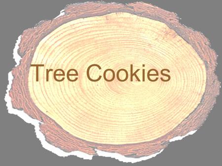 Tree Cookies. They're round. They're full of fiber. But unless you're a termite, you can't eat tree cookies! Tree cookies are cross sections of tree trunks.