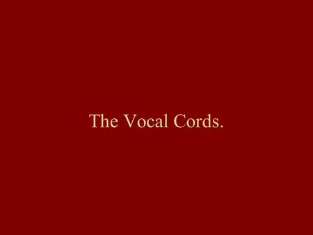 The Vocal Cords.. Where are the vocal chords located? The Vocal cords (also known as the larynx) are located above the trachea (the tube that extends.