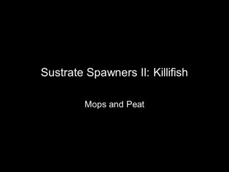 Sustrate Spawners II: Killifish Mops and Peat. Introduction Our last group of spawners use some unusual techiques to reproduce. Mop spawners and peat.