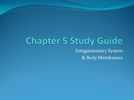 Integumentary System & Body Membranes. Chapter Objectives: 1. Classify, compare the structure of and give examples of each type of body membrane 2. Describe.