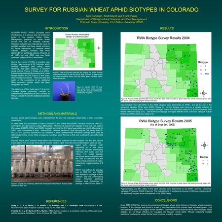 SURVEY FOR RUSSIAN WHEAT APHID BIOTYPES IN COLORADO Terri Randolph, Scott Merrill and Frank Peairs Department of Bioagricultural Sciences and Pest Management.