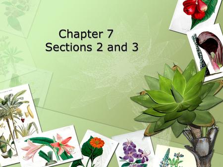 Chapter 7	 Sections 2 and 3.
