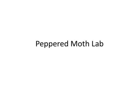 Peppered Moth Lab.