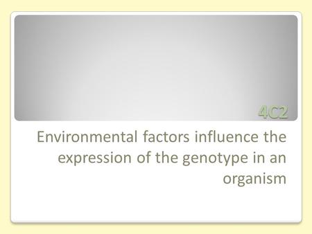 4C2 Environmental factors influence the expression of the genotype in an organism.
