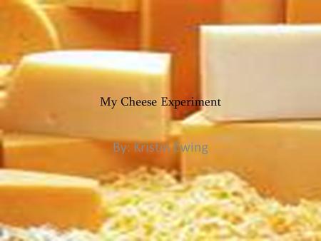 My Cheese Experiment By: Kristin Ewing. Big question My big question is will American or Swiss cheese will mold faster? I want to know this because of.