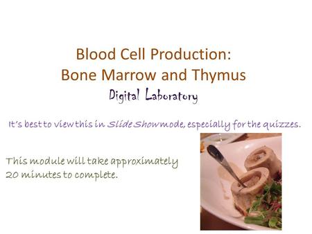 Blood Cell Production: Bone Marrow and Thymus Digital Laboratory It’s best to view this in Slide Show mode, especially for the quizzes. This module will.