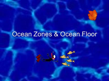 Ocean Zones & Ocean Floor