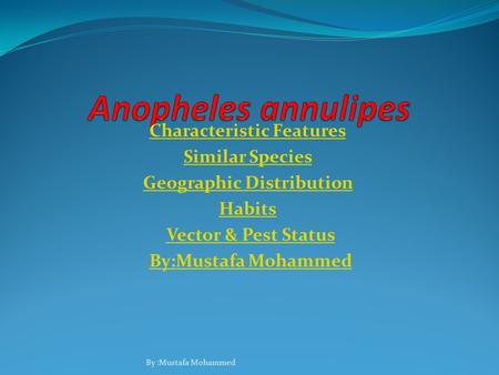 Characteristic Features Similar Species Geographic Distribution Habits Vector & Pest Status By:Mustafa Mohammed.