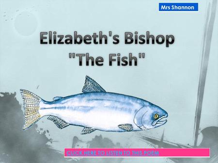 Mrs Shannon CLICK HERE TO LISTEN TO THIS POEM.  The poet has caught a ‘tremendous’ fish and she holds him ‘beside the boat/half out of the water’ so.
