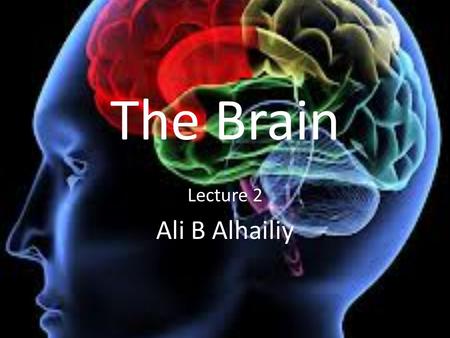 The Brain Lecture 2 Ali B Alhailiy.