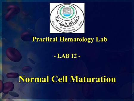 Practical Hematology Lab Normal Cell Maturation
