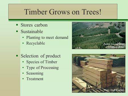 Timber Grows on Trees!  Stores carbon  Sustainable Planting to meet demand Recyclable  Selection of product Species of Timber Type of Processing Seasoning.