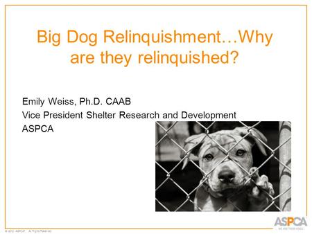 © 2012 ASPCA ®. All Rights Reserved. Big Dog Relinquishment…Why are they relinquished? Emily Weiss, Ph.D. CAAB Vice President Shelter Research and Development.