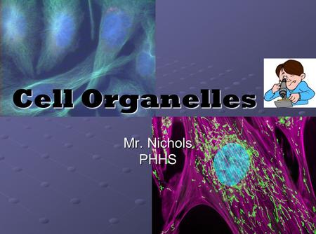 Cell Organelles Mr. Nichols PHHS