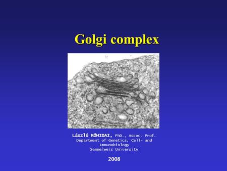 Golgi complex László KŐHIDAI, PhD., Assoc. Prof. Department of Genetics, Cell- and Immunobiology Semmelweis University 2008.