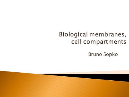 Bruno Sopko.  Introduction  Plasma membrane ◦ Lipid rafts  Nucleus  Mitochondria  Endoplasmic reticulum  Golgi apparatus  Lysosoms  Peroxisoms.
