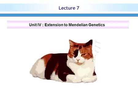 Unit IV : Extension to Mendelian Genetics