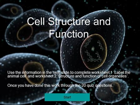Cell Structure and Function Use the information in the next slide to complete worksheet 1 ‘Label the animal cell’ and worksheet 2 ‘Structure and function.