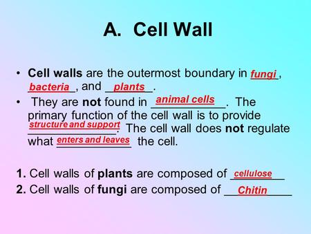 A. Cell Wall Cell walls are the outermost boundary in ____, _______, and _______. They are not found in ___________. The primary function of the cell.
