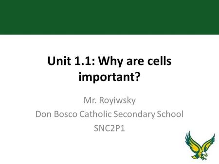 Unit 1.1: Why are cells important? Mr. Royiwsky Don Bosco Catholic Secondary School SNC2P1.