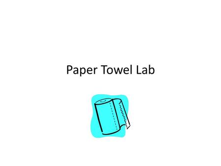 Paper Towel Lab.