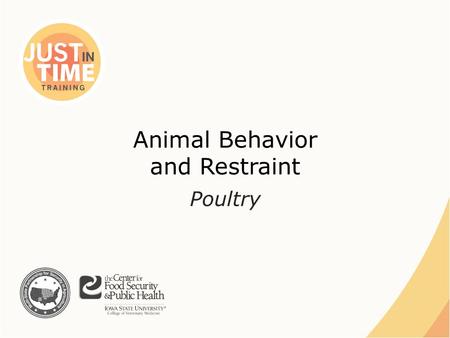 Animal Behavior and Restraint Poultry. ●Birds reared for commercial purposes – Chickens, turkeys – Ducks, geese – Pheasant, quail – Others… Just In Time.