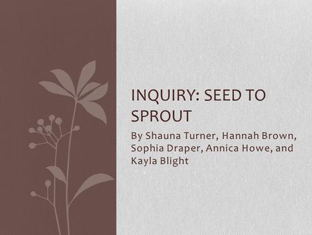 By Shauna Turner, Hannah Brown, Sophia Draper, Annica Howe, and Kayla Blight INQUIRY: SEED TO SPROUT.
