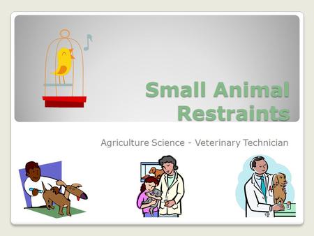 Small Animal Restraints