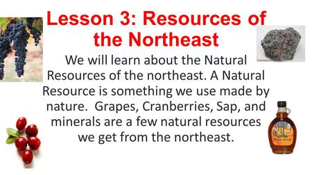 Lesson 3: Resources of the Northeast