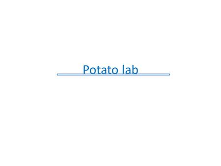Potato lab.
