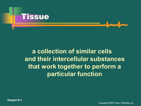 Copyright © 2002 Career Publishing, Inc. Visual 14-1 Tissue a collection of similar cells and their intercellular substances that work together to perform.