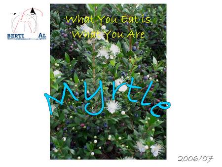 What You Eat is What You Are 2006/07. The Myrtle (Myrtus) is a genus of one or two species of flowering plants in the family Myrtaceae, native to southern.