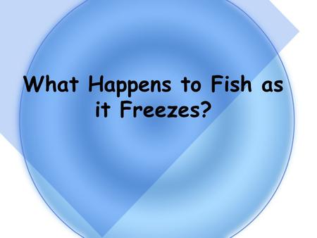 What Happens to Fish as it Freezes?. Nature of Raw Material Fish/Shellfish Composition Protein15-25% Fat 1-15% Minerals 1-2% Water65-80%