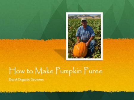 How to Make Pumpkin Puree Durst Organic Growers. Selecting and storing fresh Pumpkin For cooking, select the small 'pie' types, such as Sugar Pie, or.